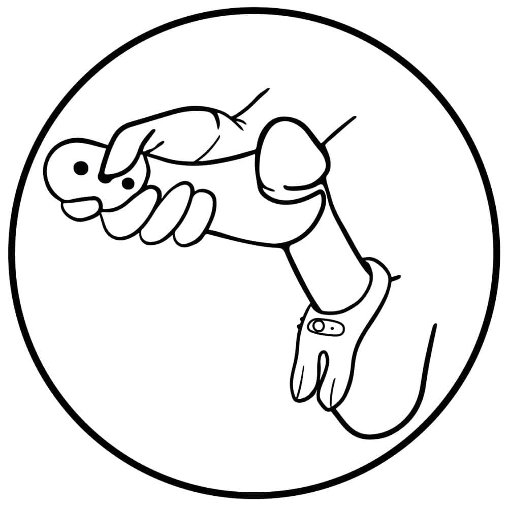 27856